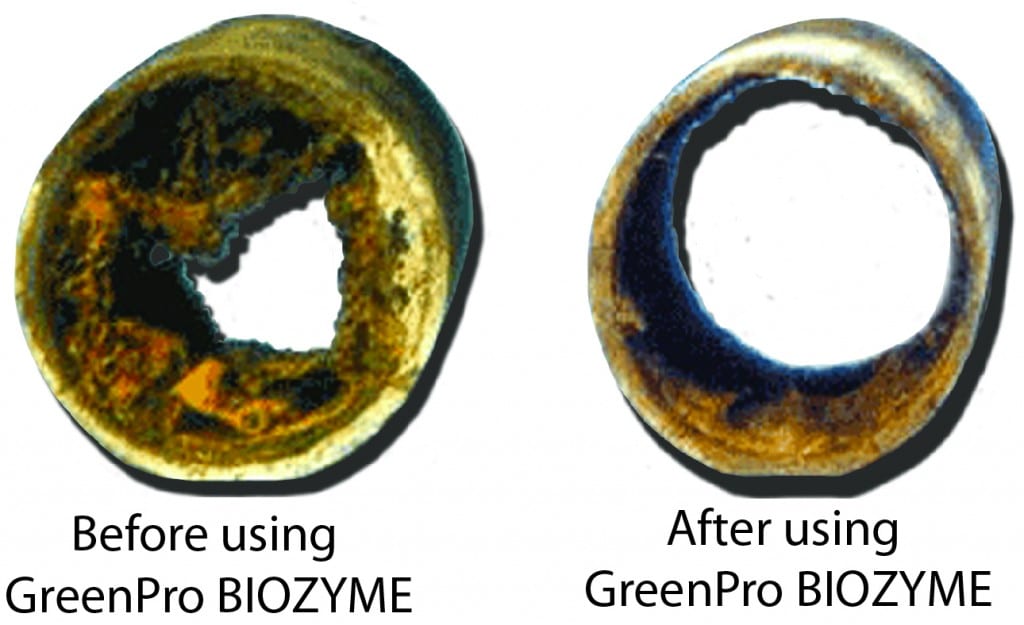 A commercial kitchen's drainpipe before and after treatment with GREEN PRO Biozyme